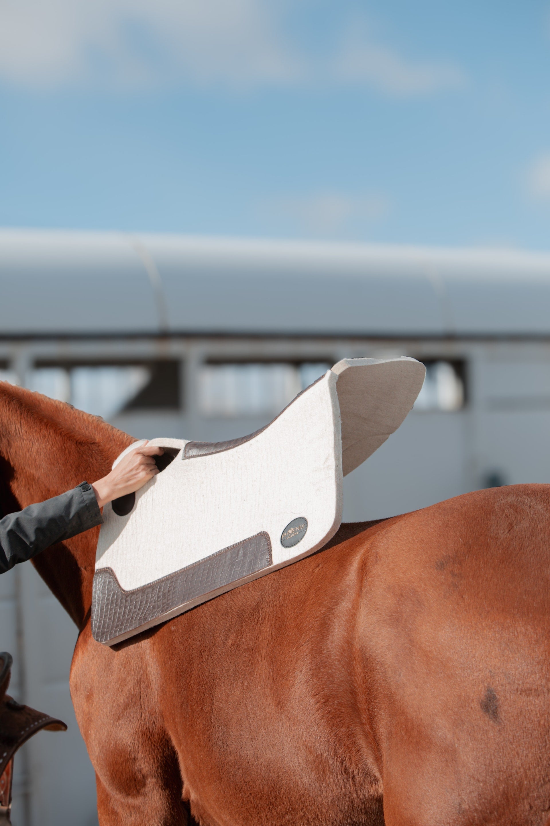 Merino Wool Saddle Pads