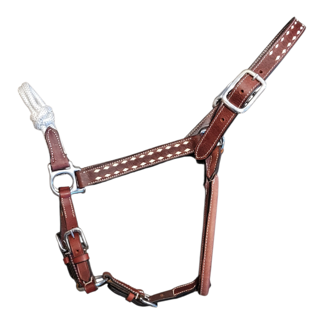 Phoenix Buckstitched Leather Halter