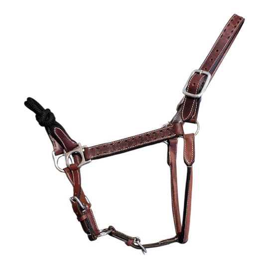 Phoenix Buckstitched Leather Halter