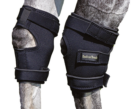 Hock Boots