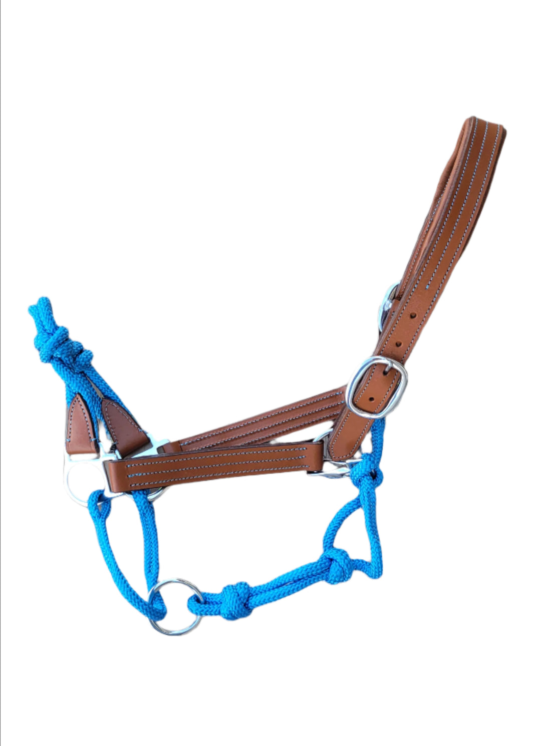 The Phoenix Fusion Halter with Colored Rope