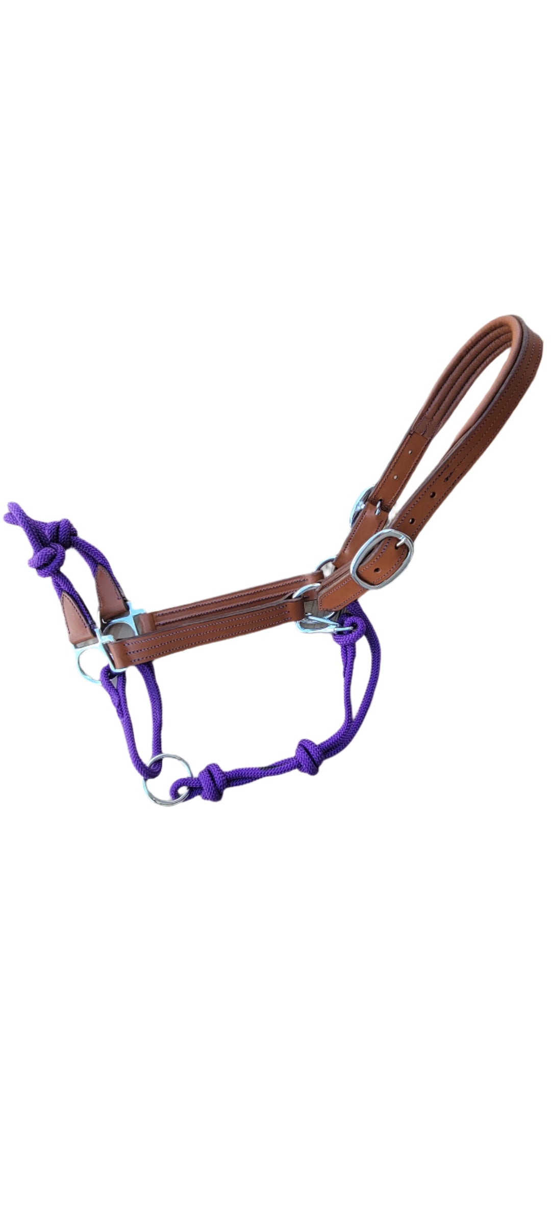 The Phoenix Fusion Halter with Colored Rope