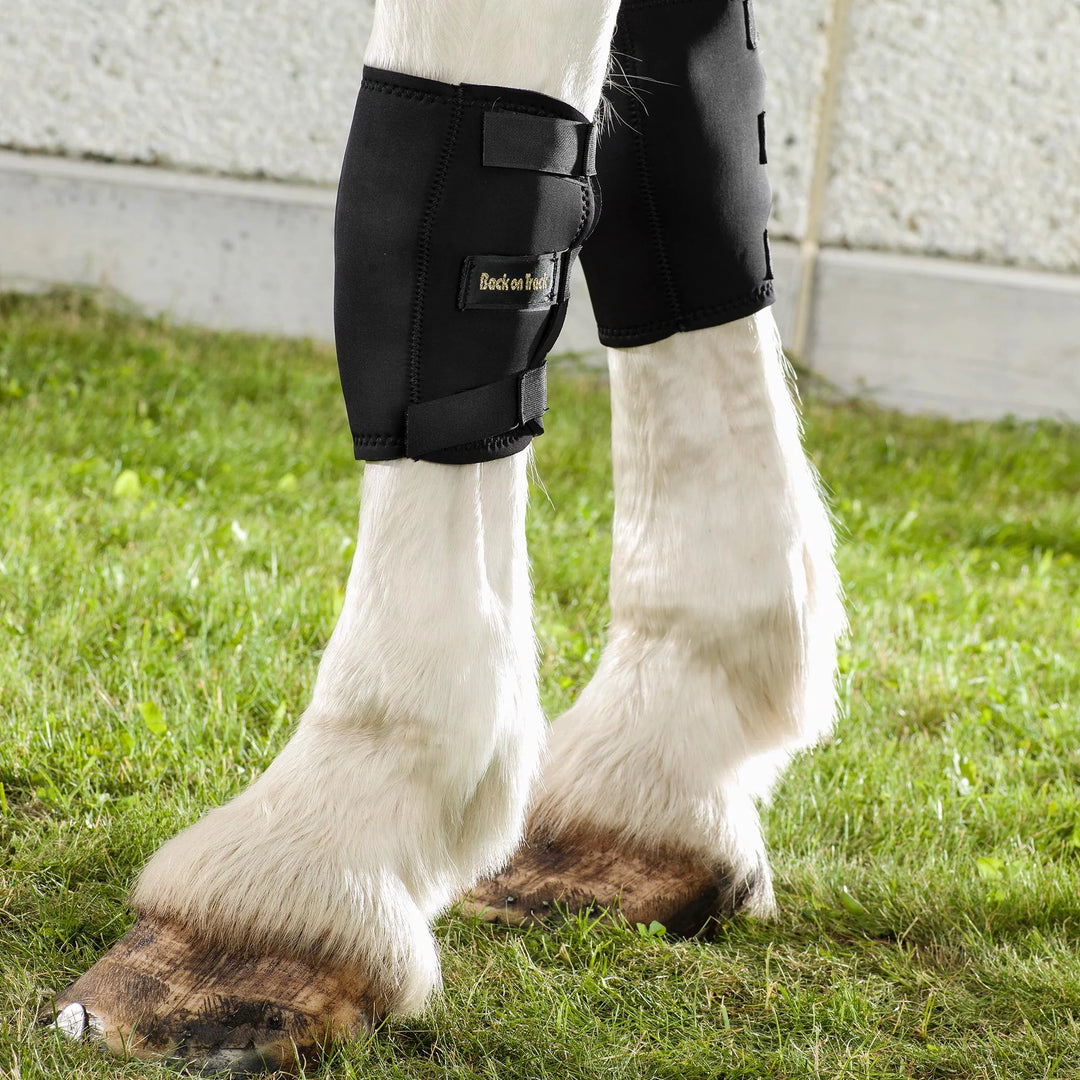 Knee Boots