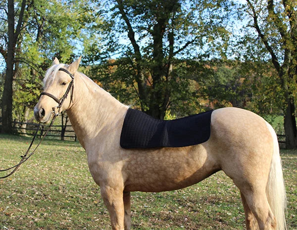 Western Saddle Pad liner