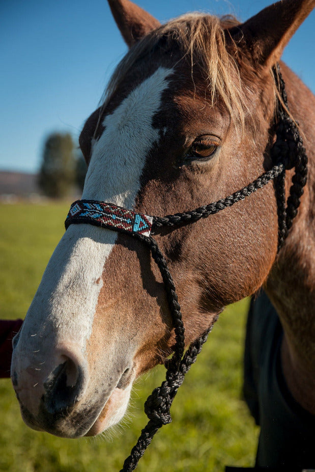 The Riata Halter