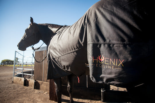 Phoenix Equine 1200D Turnout Blanket