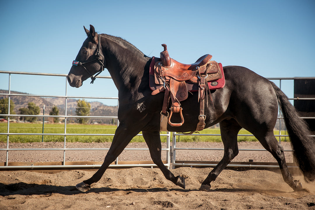 1" thick - 30"Lx30"W - Merino Wool - Burgundy