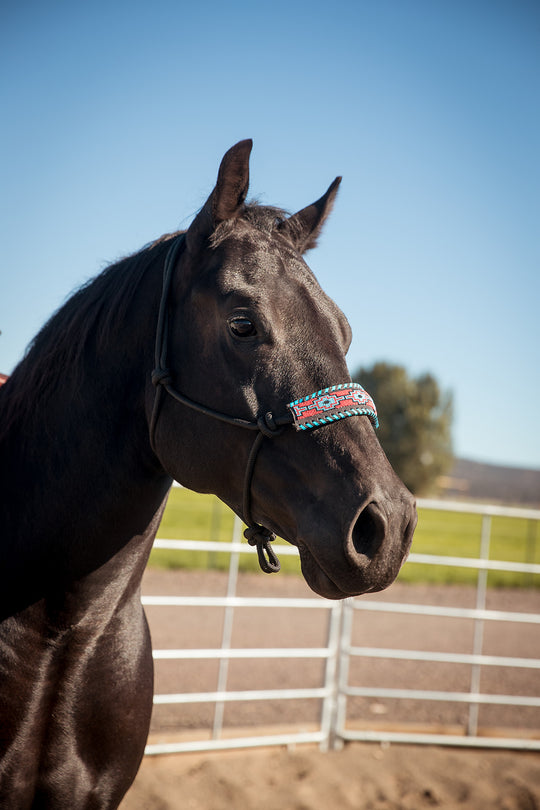 The Navajo Halter