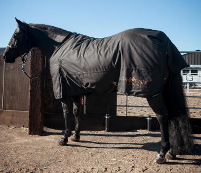 Phoenix Equine 1200D Turnout Blanket