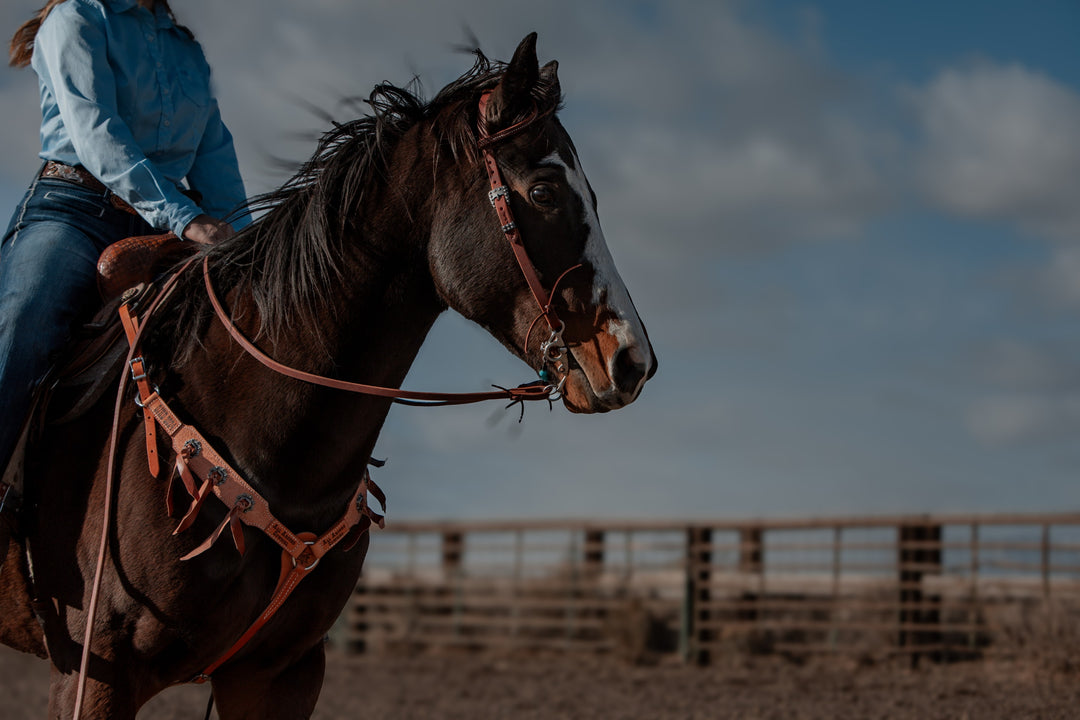 Leather Split Reins