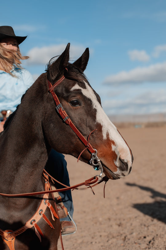 Double Buckle One Ear Work Headstall