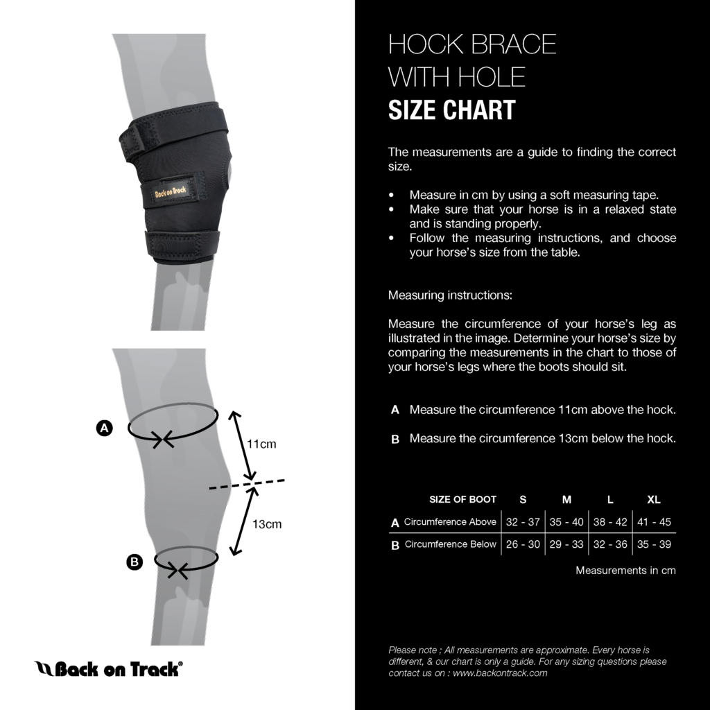 Hock Boots