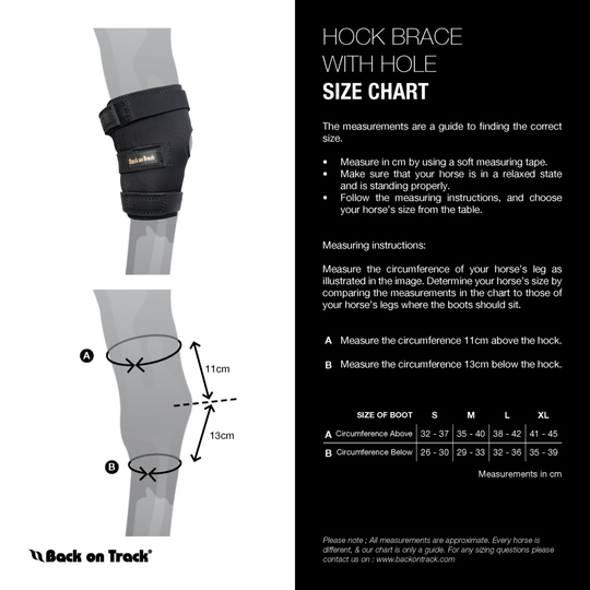Hock Boots