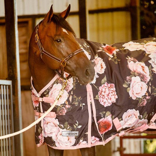 Jeffers Expression 1200 Denier Standard Neck Horse Turnout Sheet, 0 Gram