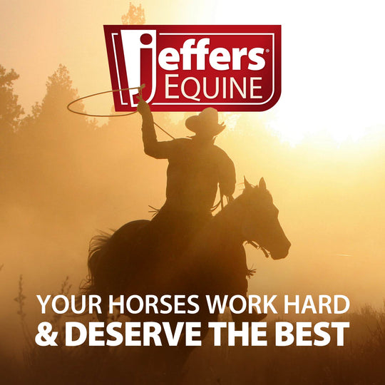 Jeffers Elite Fleece Horse Cooler Blanket