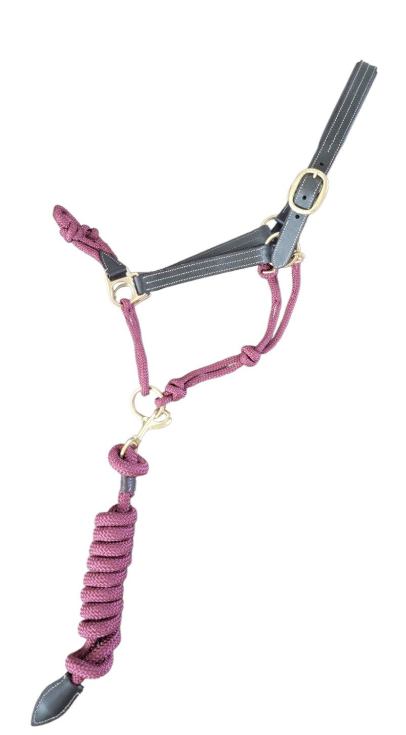 Phoenix Classic Fusion Halter & Lead Set in Burgundy on a white background
