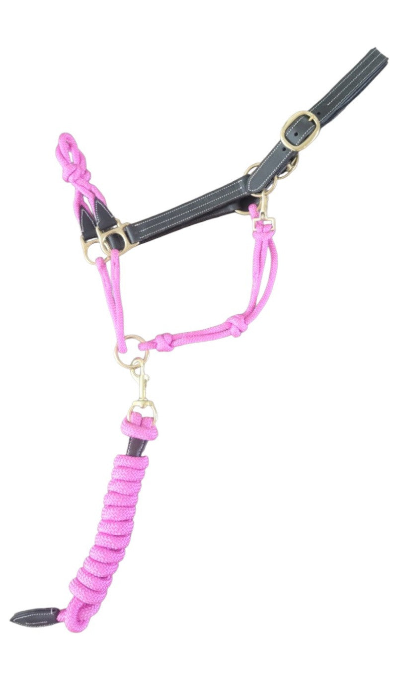 Phoenix Classic Fusion Halter & Lead Set in Pink on a white background