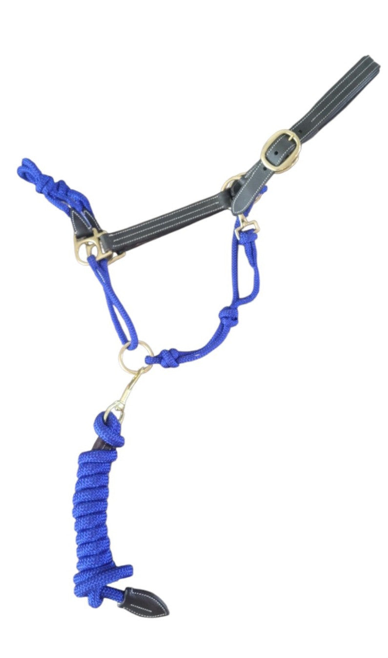 Phoenix Classic Fusion Halter & Lead Set in Royal Blue on a white background