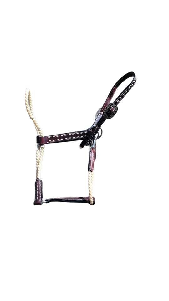 Buckstitch Lariat Halter
