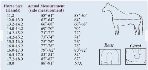 Phoenix Equine 1200D Turnout Blanket